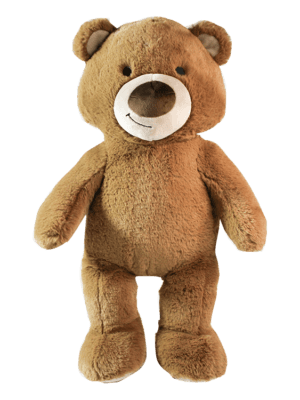 teddy bear
